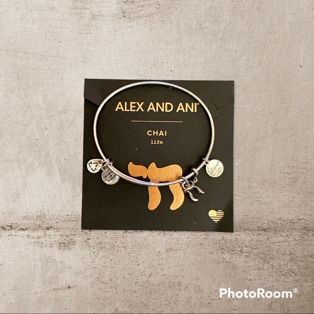 Alex and Ani Chai Bracelet in Rafaelin Silver